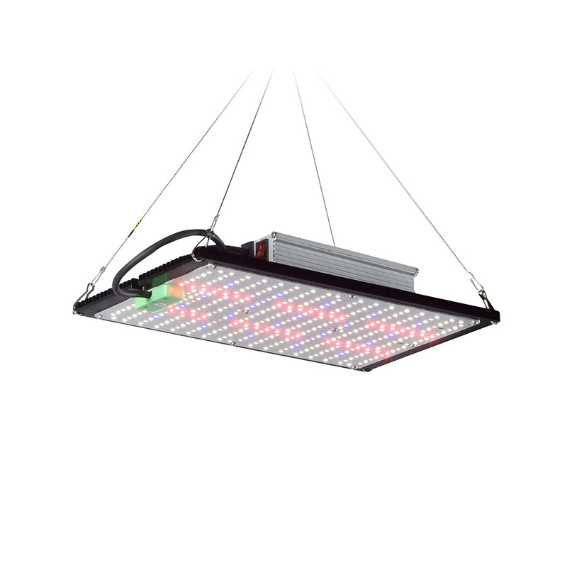 Indoor Plants - Lampe de culture LED Quantum-Board à
