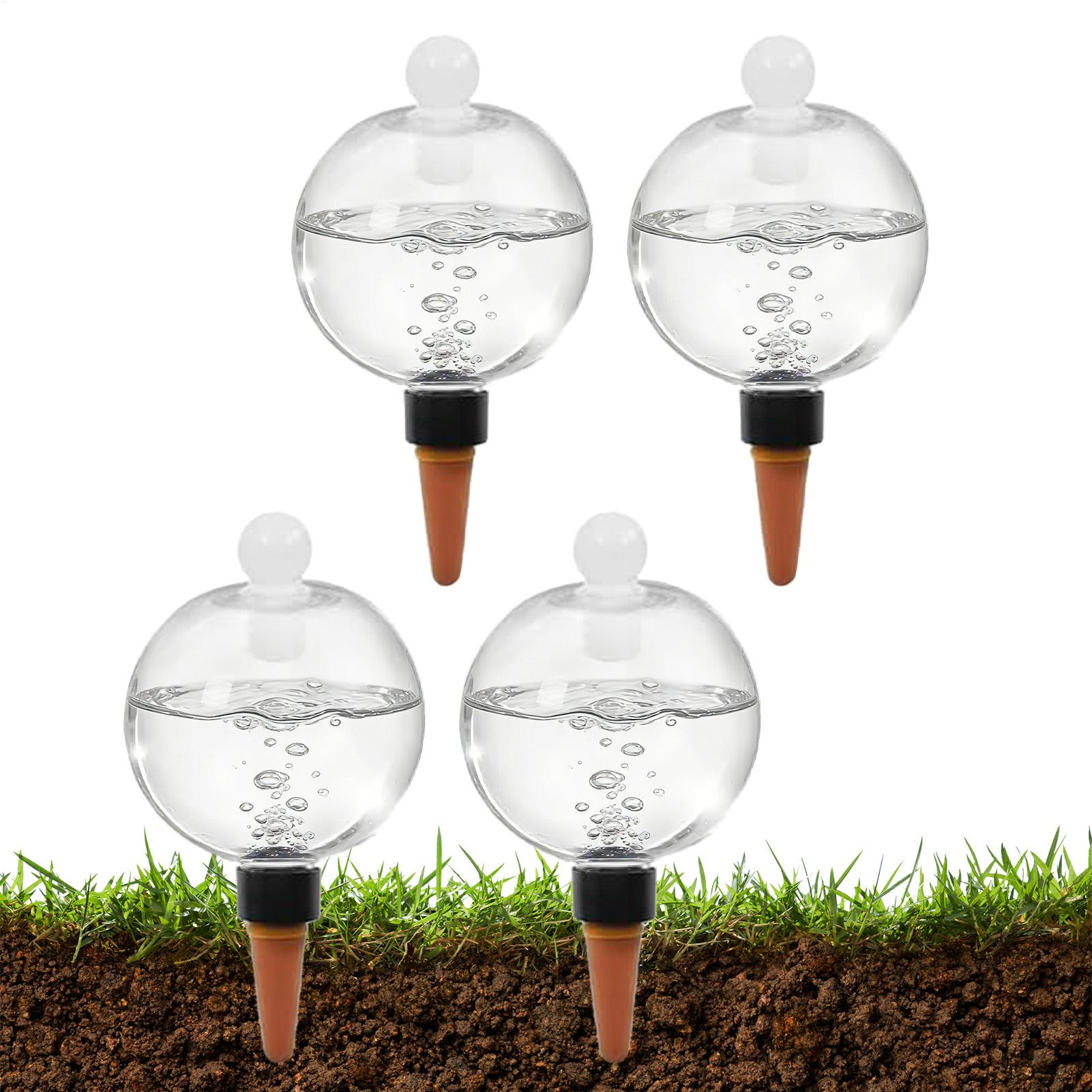 Pothos - Bulbes d'arrosage automatiques pour plantes, 4
