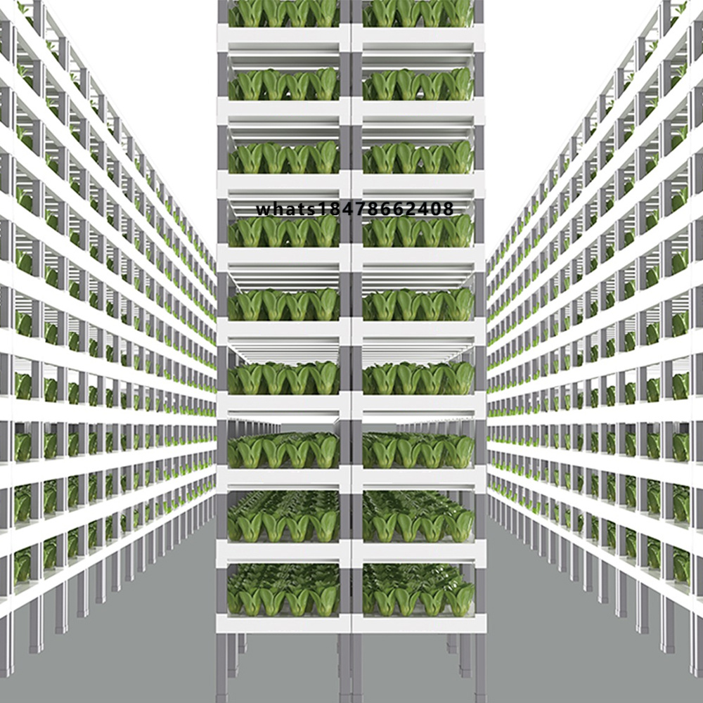 Indoor Plants - Système hydroponique intelligent contrôlé par application,