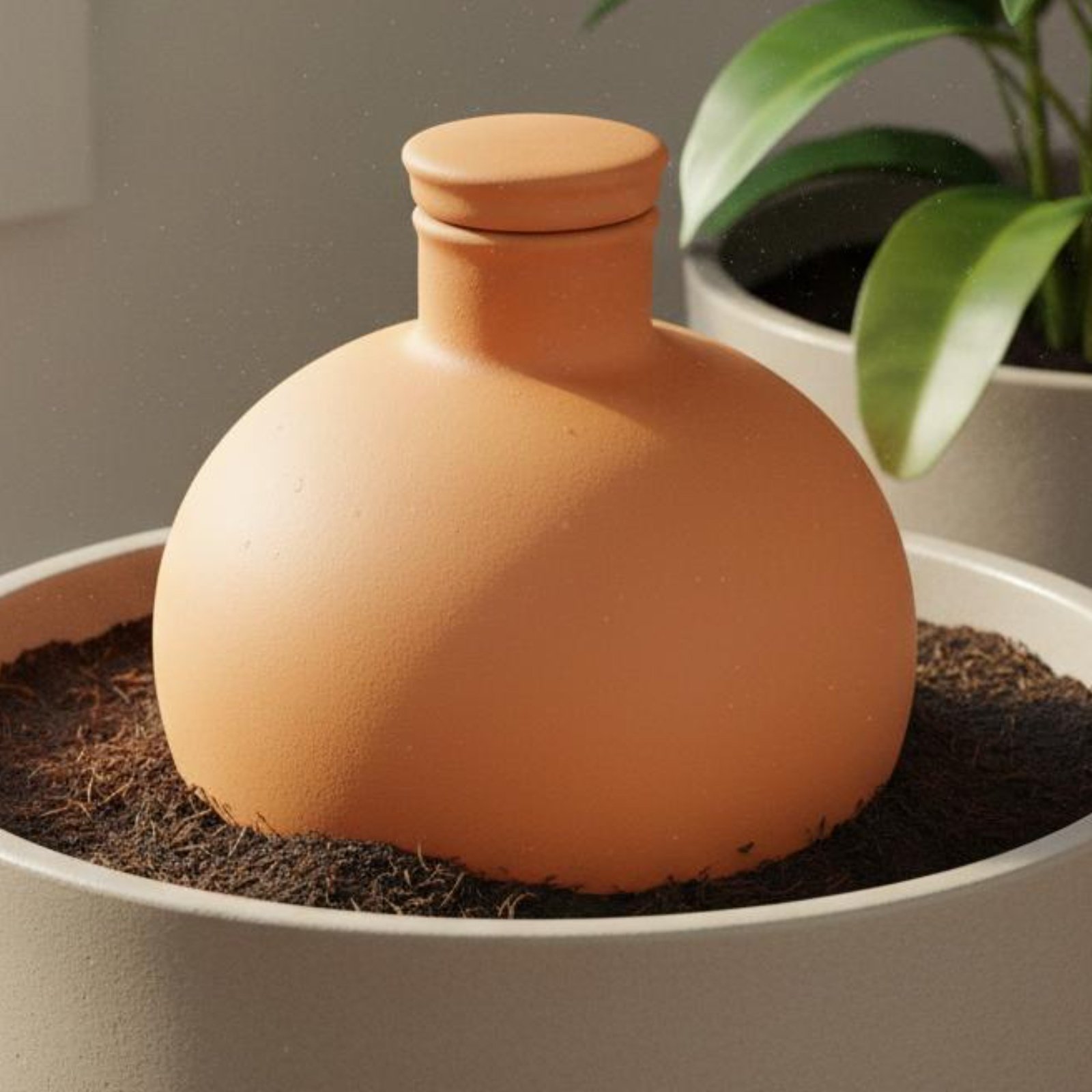 Terracotta Pot - Lot de 2 pots d'arrosage en