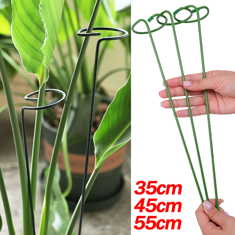 Plant Support Stake - Support d'arbustes pour plantes à tige