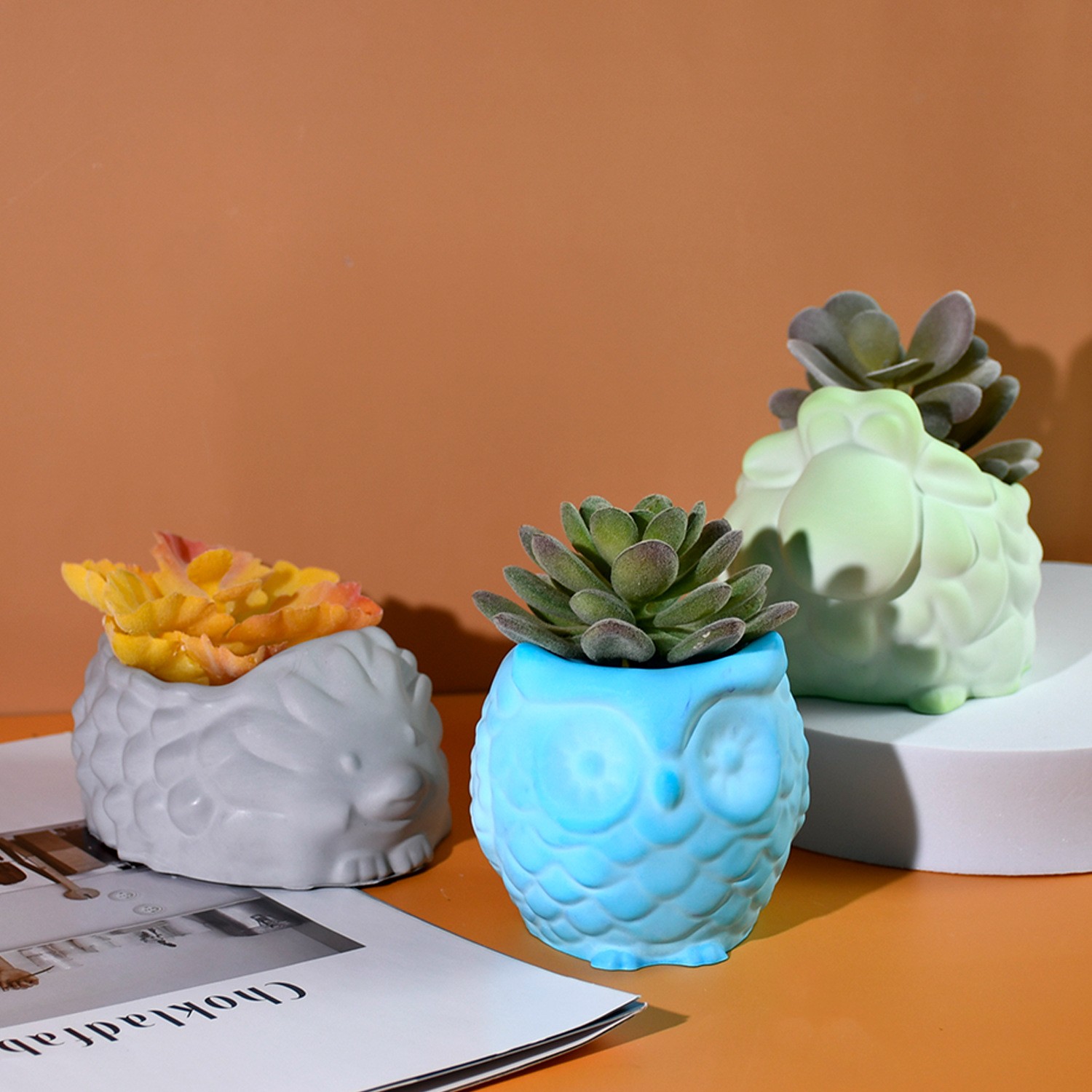 Pot de fleur en forme d'animal - Succulent Set avis et prix