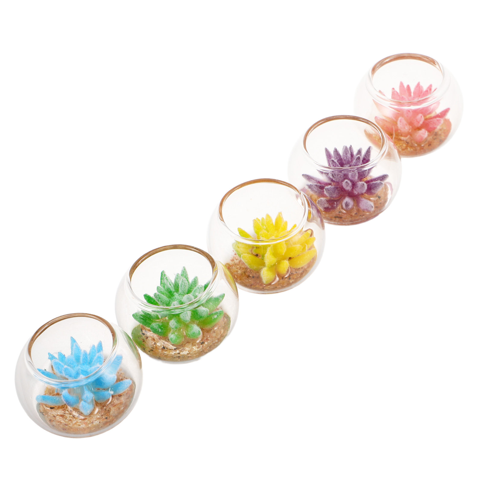 Ensemble de 5 mini-pots en ver - Plant Pot avis et prix