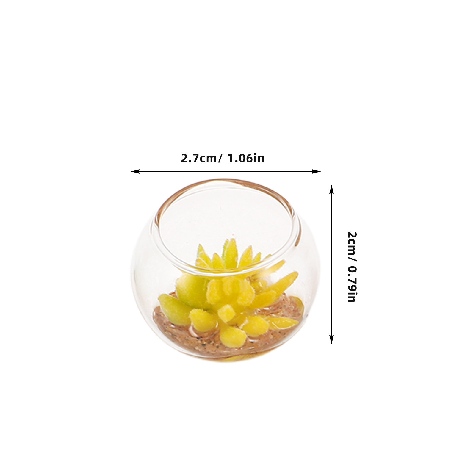 Ensemble de 5 mini-pots en ver - Plant Pot avis et prix