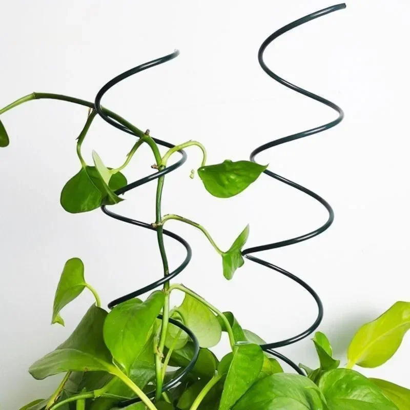 Support de plantes grimpantes, - Plant Support Stake avis et prix