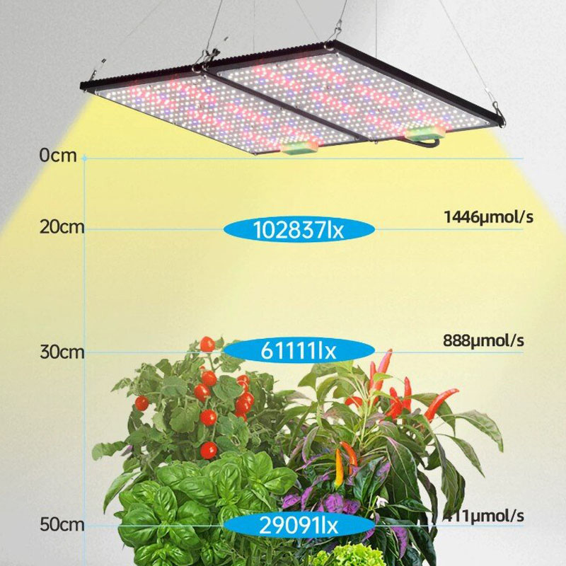 Lampe de culture LED Quantum-B - Indoor Plants avis et prix