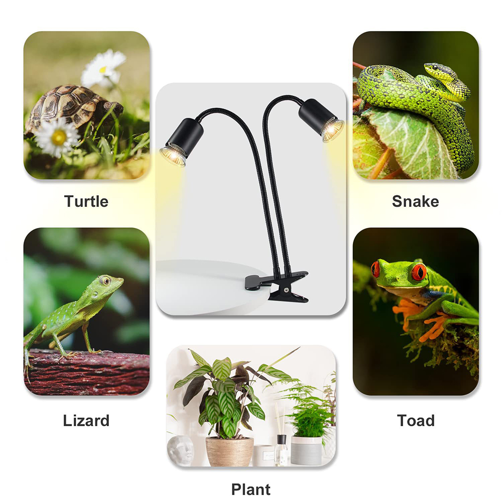 Lampe chauffante pour reptile  - Snake Plant avis et prix
