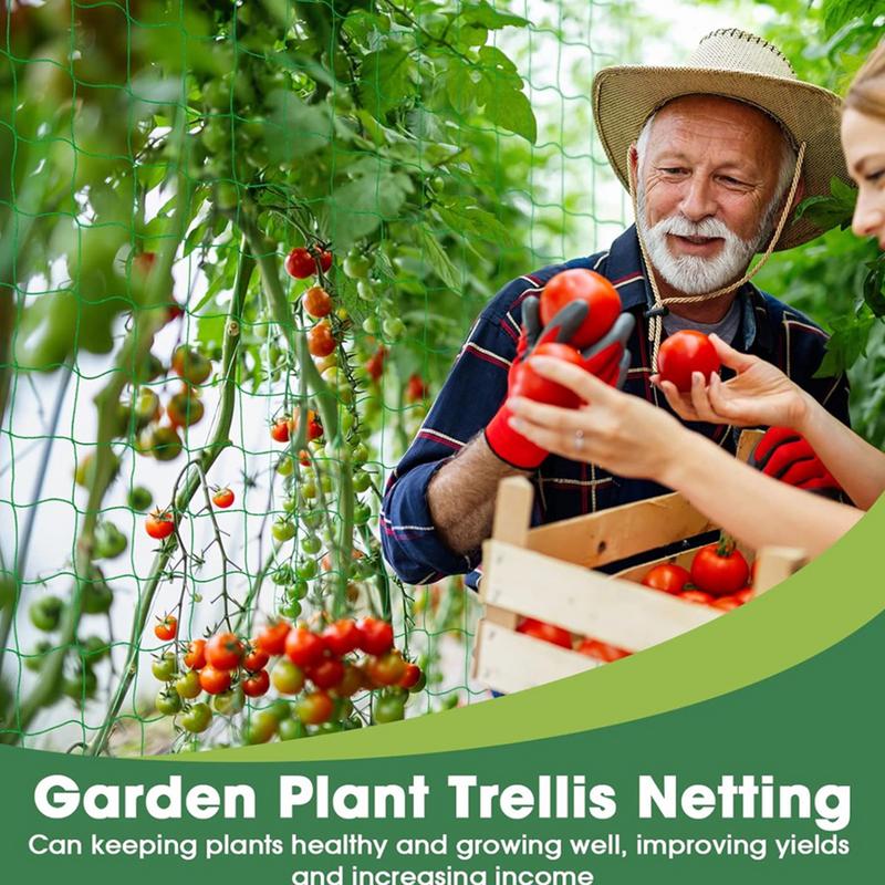 Filet en treillis pour plantes - Plant Support Stake avis et prix