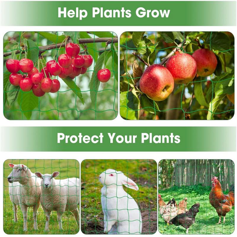 Filet en treillis pour plantes - Plant Support Stake avis et prix