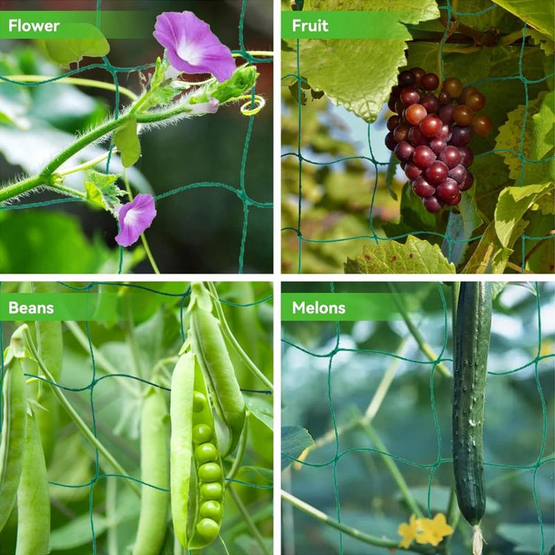 Filet en treillis pour plantes - Plant Support Stake avis et prix