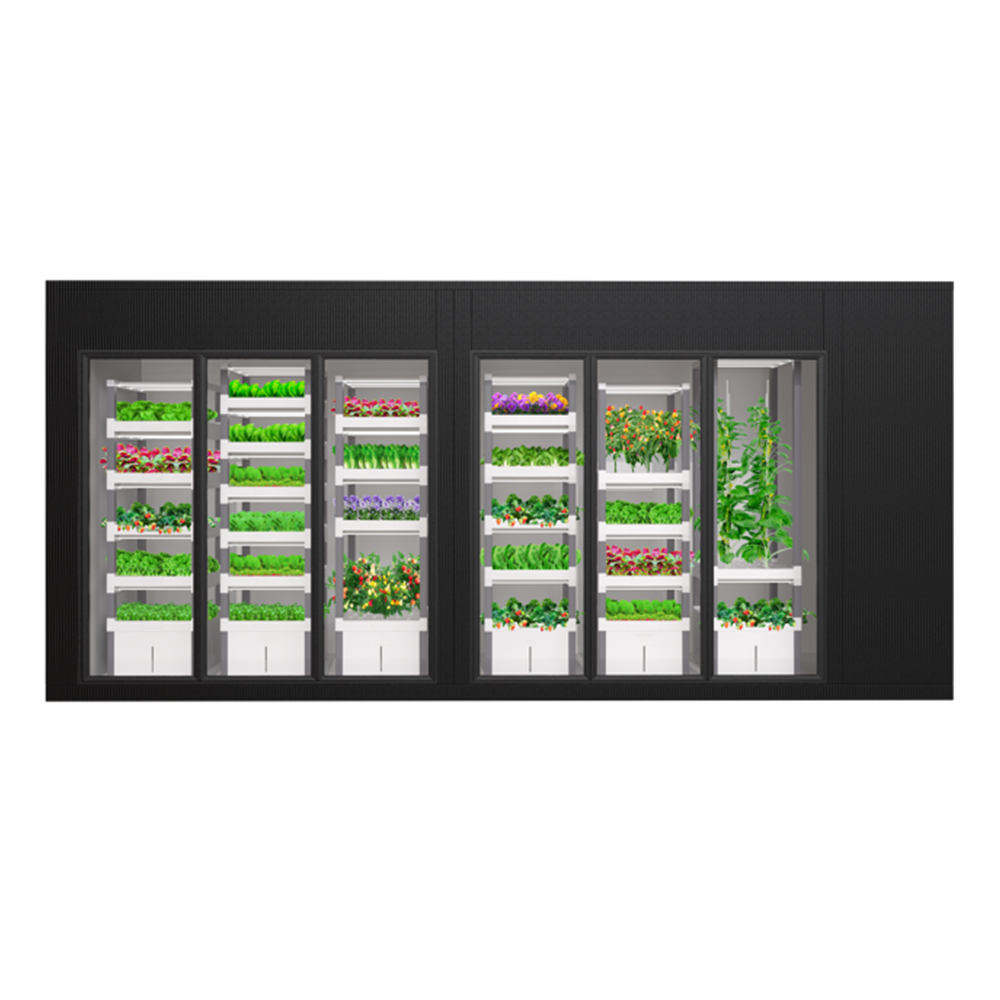 Système hydroponique intellige - Indoor Plants avis et prix