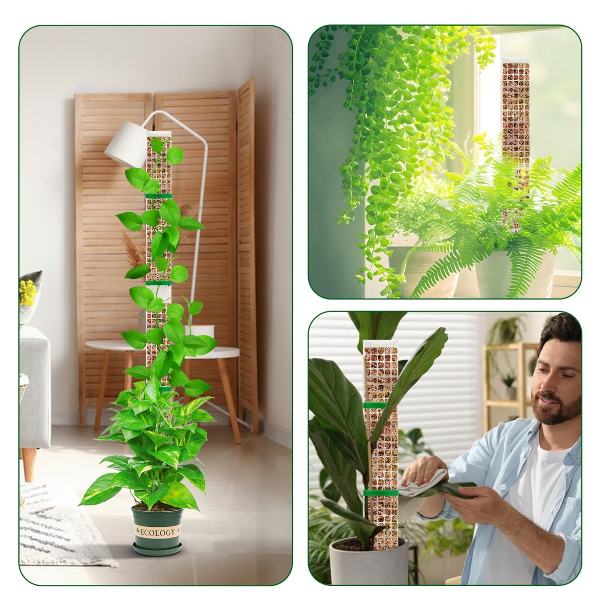 Poteau en plastique empilable  - Plant Support Stake avis et prix