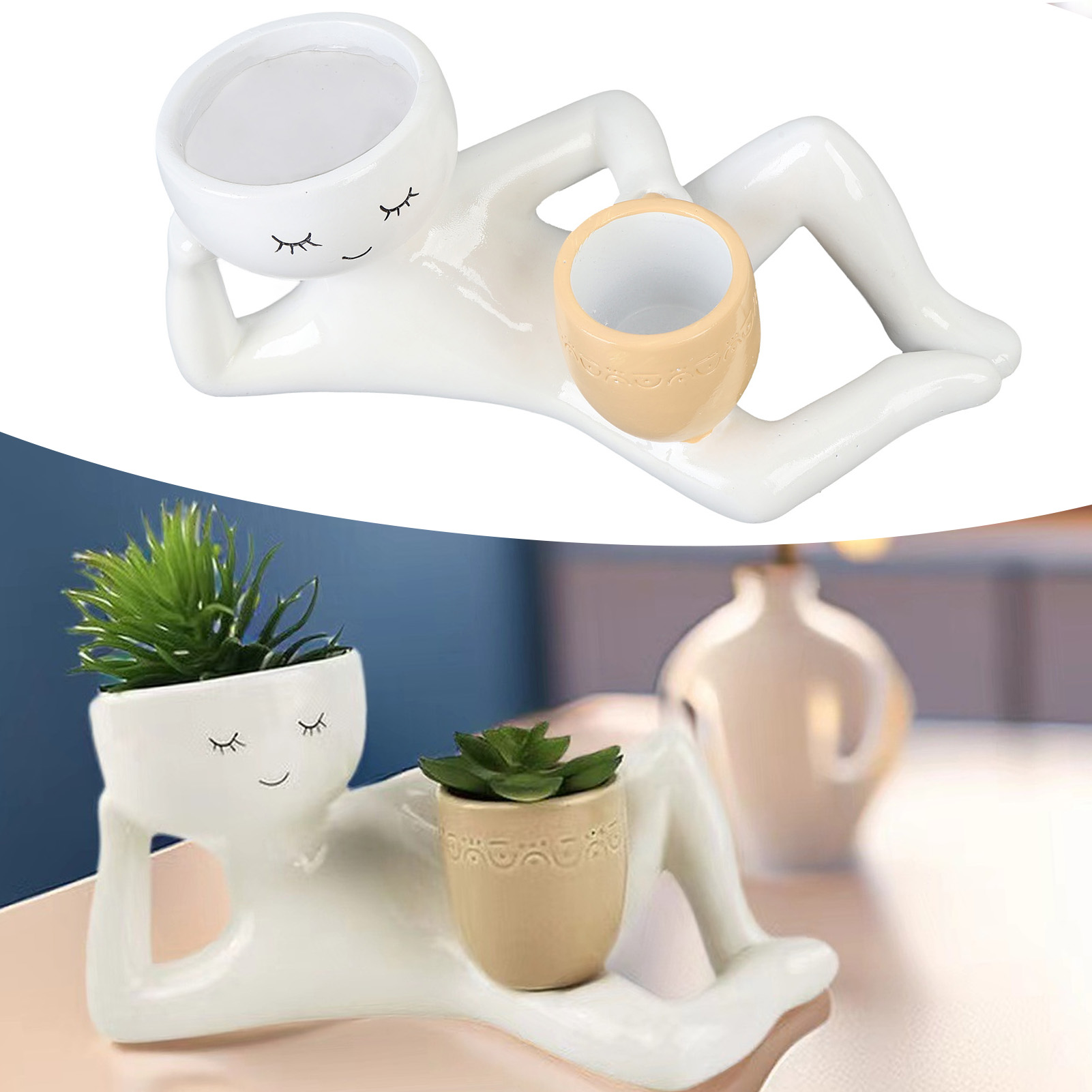 Pot succulent créatif et respi - Pothos avis et prix