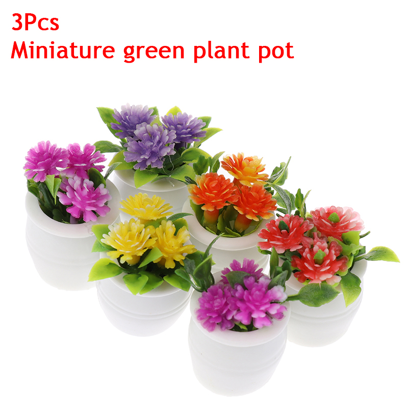 Mini Simulation d'une maison d - Plant Pot avis et prix