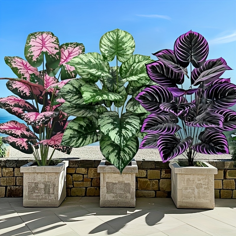 Grand ensemble de plantes vert - Fiddle Leaf Fig avis et prix
