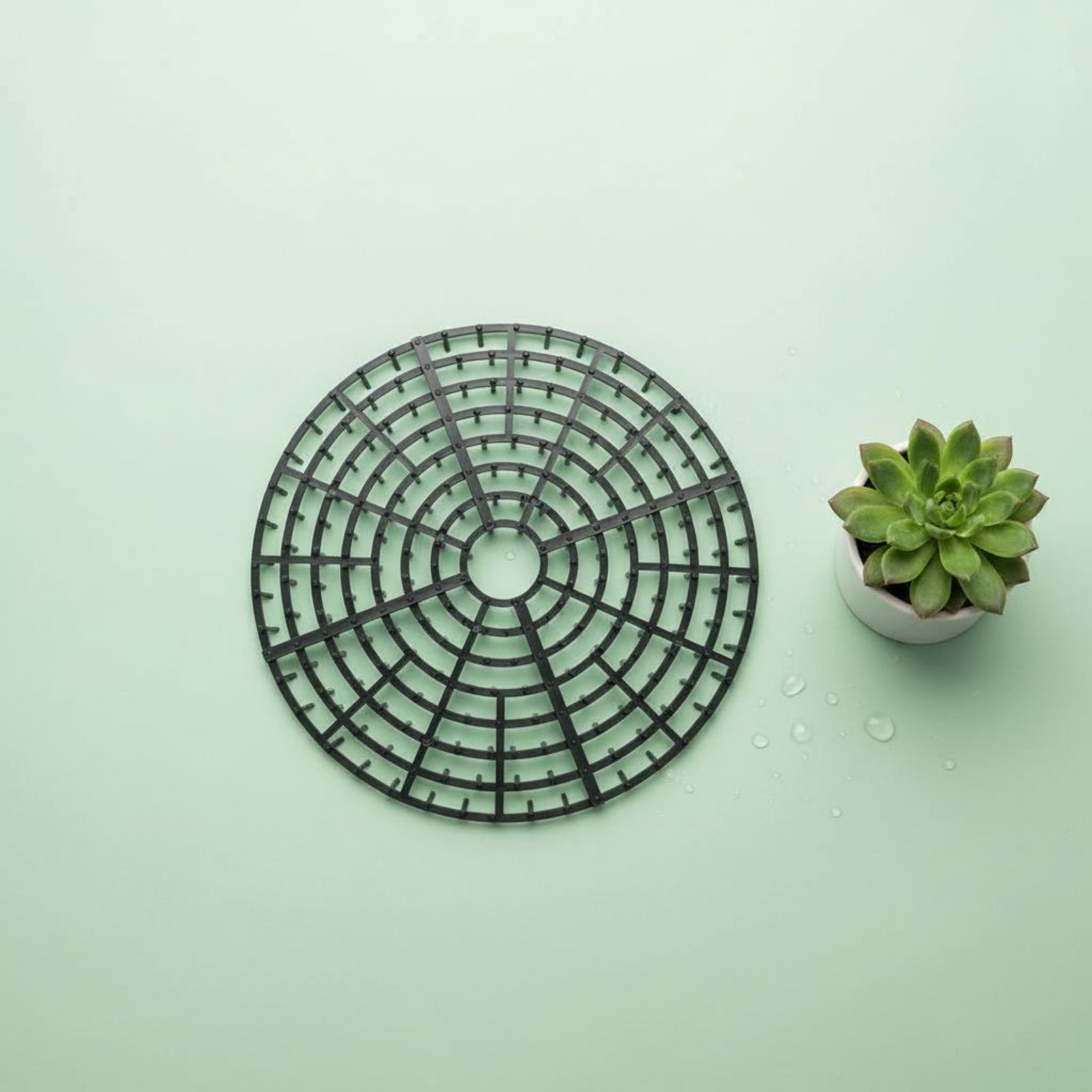 Couverture de sol pour pot de  - The Plant Parent avis et prix