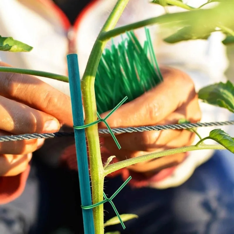 Bâtons de soutien pour plantes - Plant Support Stake avis et prix