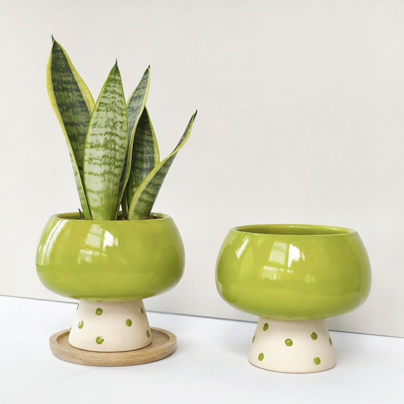 Pot de fleurs en céramique min - Snake Plant Ceramic avis et prix