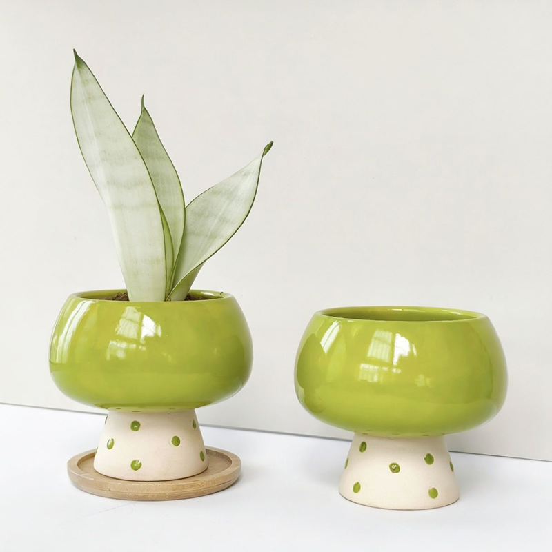 Pot de fleurs en céramique min - Snake Plant Ceramic avis et prix