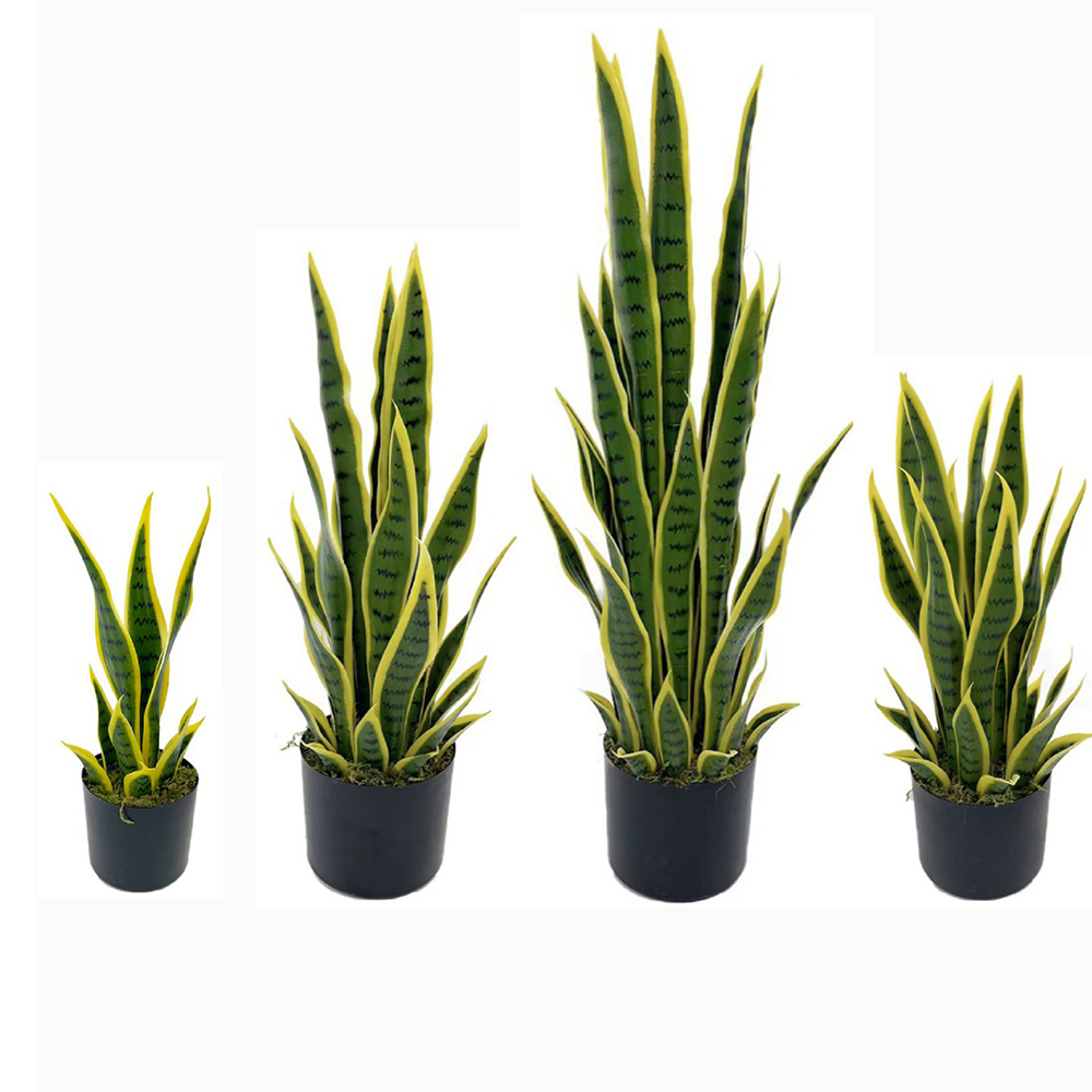 Plante artificielle Sansevieri - Snake Plant avis et prix