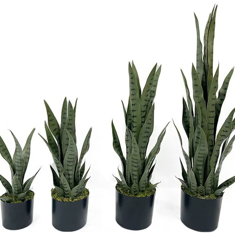 Plante artificielle Sansevieri - Snake Plant avis et prix