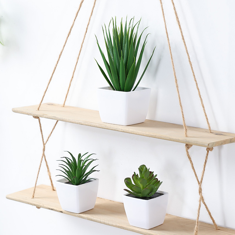 (Un ensemble de 3 pièces) de m - Succulent Set avis et prix