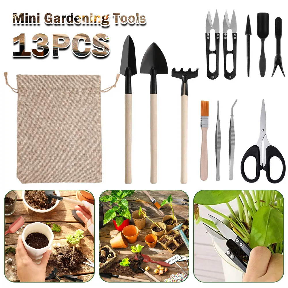 Ensemble d'outils pour plantes - Succulent Set avis et prix