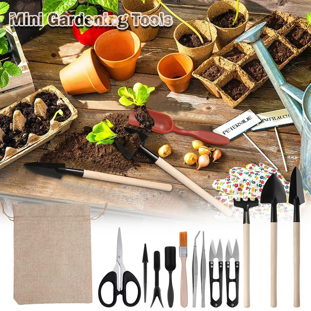 Ensemble d'outils pour plantes - Succulent Set avis et prix