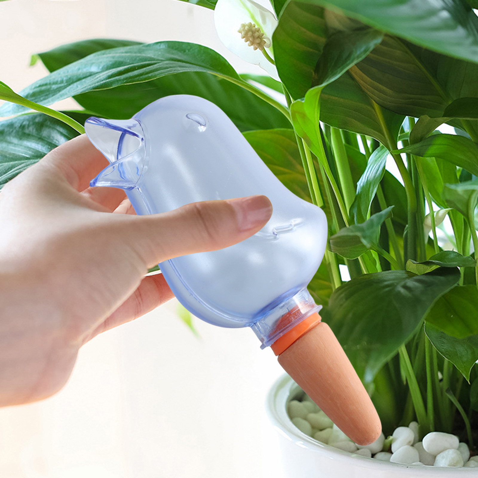 Système d'irrigation goutte-à- - Pothos avis et prix