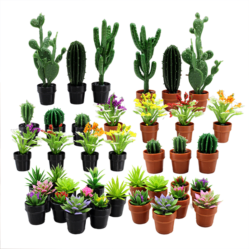 8 plantes en pot miniatures en - Succulent Set avis et prix