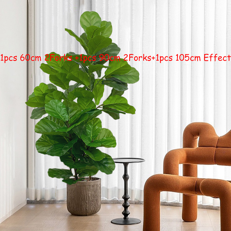 Ficus Él23 rivières, fausses p - Fiddle Leaf Fig avis et prix
