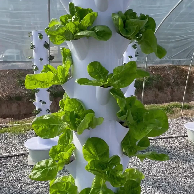 Avec Led élèvent la lumière es - Plant Pot avis et prix