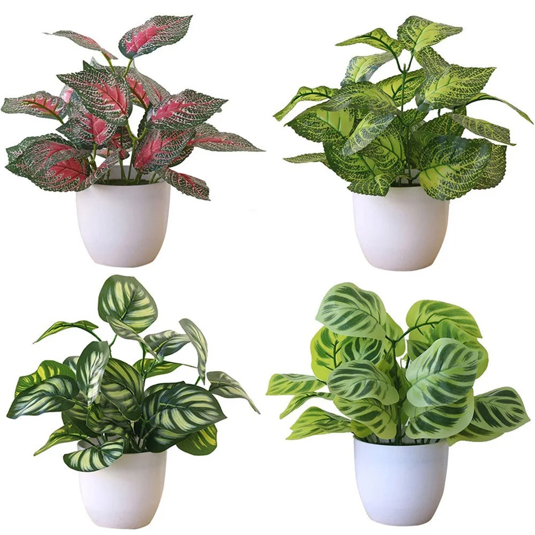 Pot de plantes à feuillage art - Snake Plant avis et prix