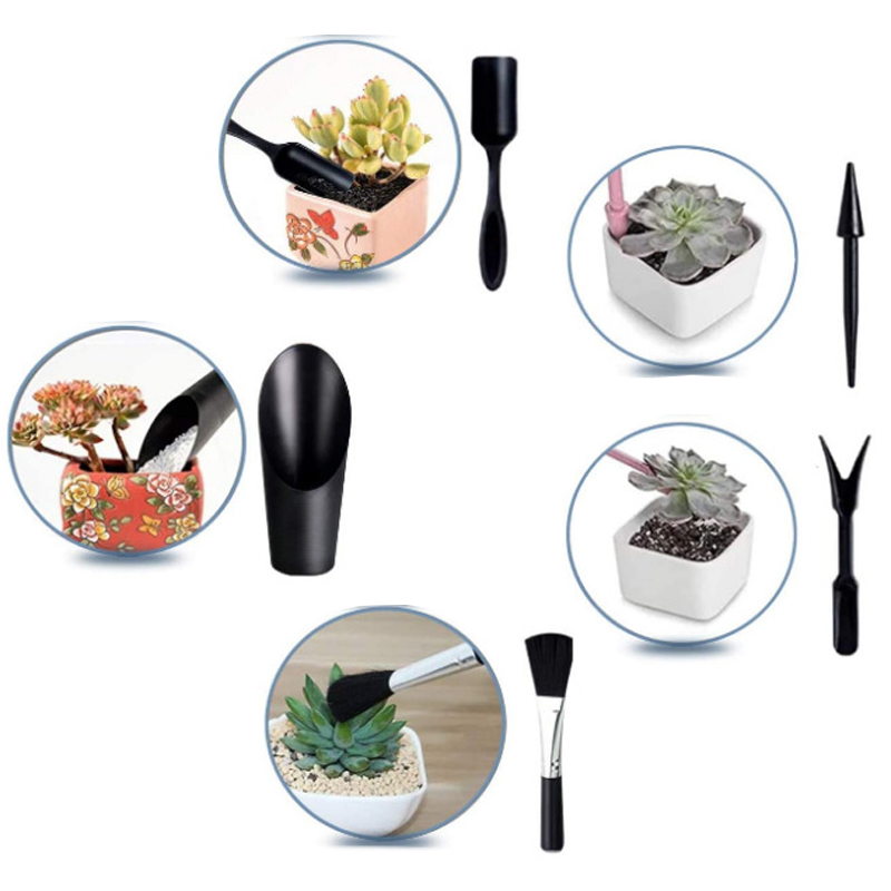 Mini ensemble d'outils de jard - Succulent Set avis et prix