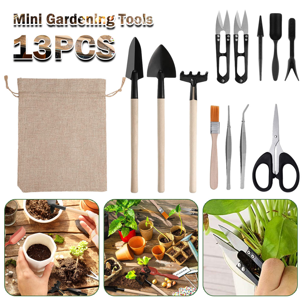 Outils pour plantes succulente - Succulent Set avis et prix