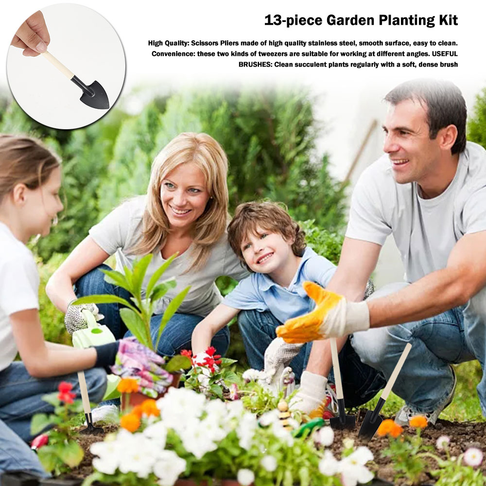 Outils pour plantes succulente - Succulent Set avis et prix